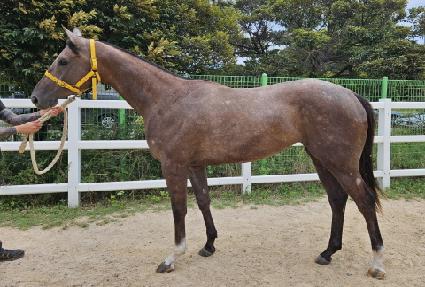 �����̽��Ǹ� ����