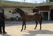 �ݼ����� (GEUMSEONG CHUKJE) ����