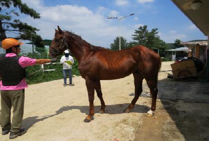 �Ǿ�� ����