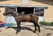 ����Ʈ����Ʈ (SEOGWI TRUST) ����