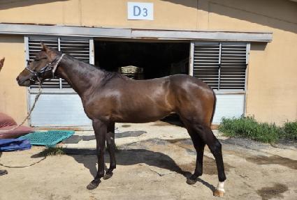 ����Ʈ����Ʈ ����