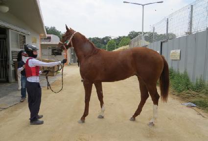 ��ī���̼� ����