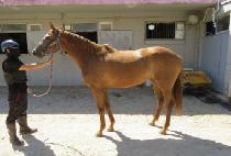 ����ο��� (HERO YEOWANG) ����