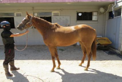 ����ο��� ����