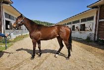 �׷���ƮŸ�� (GREAT TIME) ����