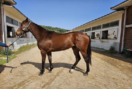 �׷���ƮŸ�� ����