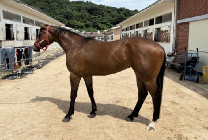 ��Ÿ ����