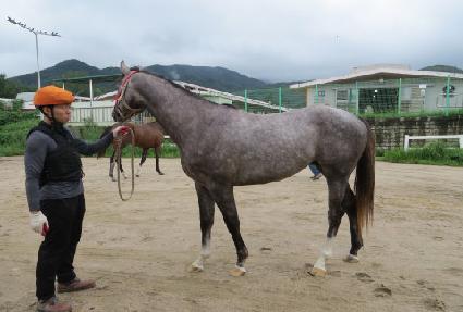 ��ȣ�ǿ︲ ����