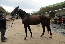 Ÿ��Ʈ�÷��� (TIGHT PLAY) ����