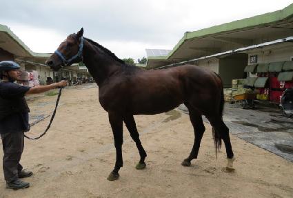 Ÿ��Ʈ�÷��� ����