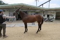 ������ũ (SEMYEONG PEAK) ����