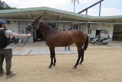 ������ũ ����