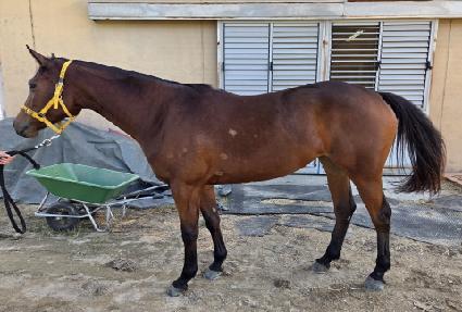 ���ͱ׷���Ʈ ����