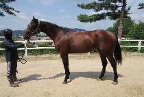 ��Ÿ�ְ� (DELTA CHOEGANG) ����