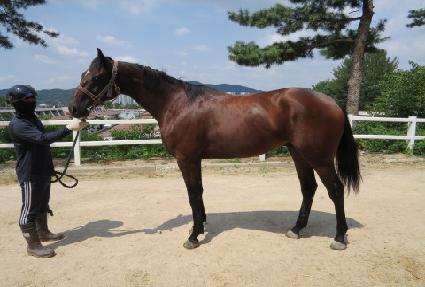 ��Ÿ�ְ� ����