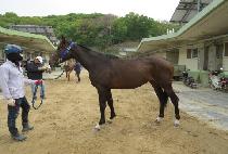 Ŭ���� (CLUB MAN) ����