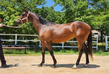 �ʽ����� ����