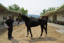 �ż����� (GEOSEN DOLGYEOK) ����