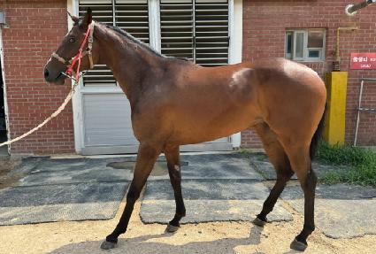 ����Ʈ�� ����