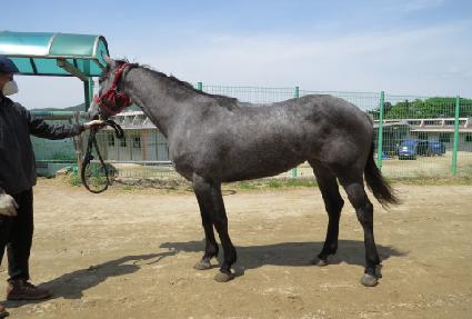 ����ũ�� ����