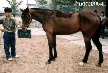 ū���� (KEUN NAL GAE) ����