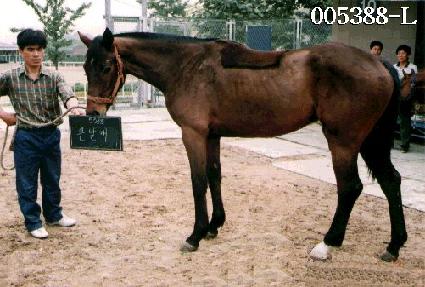 ū���� ����