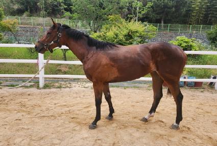 �������� ����