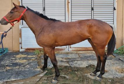 �̽������� ����