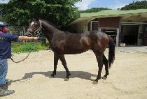 ��Ʈŷ (HEART KING) ����