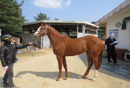 ���ڵ��ڵ� ����