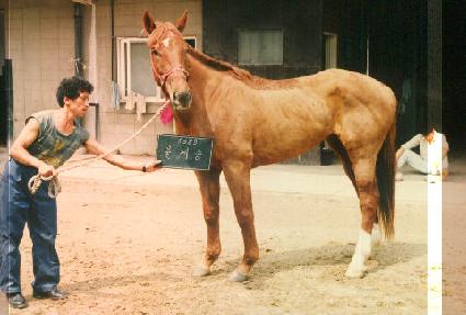 �Ұ�� ����