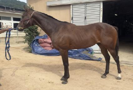 ����ũ��� ����