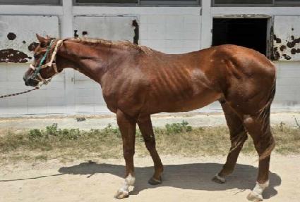 �۷ι������� ����