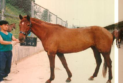 �⿩�� ����