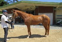 ����Ʈ���̿� (BEST A ONE) ����