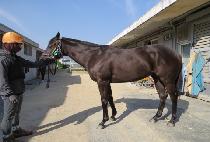 ���׻�Ÿ (UHANGSANGSTAR) ����