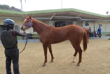 �������� ����