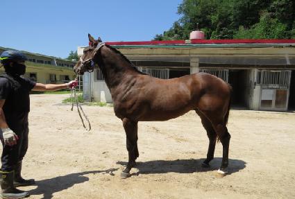 ��½�����Ʈ ����