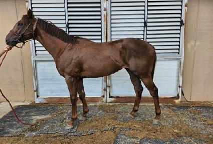 �Ŀ�Ʈ�� ����