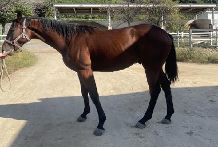 ���̾�ŷ�� ����