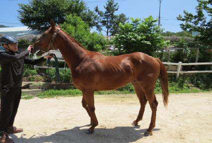 �������帲 ����