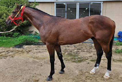 �Ƴʵ�ĭ ����