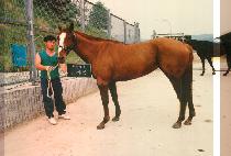 ����ǰ (GO GA POOM) ����