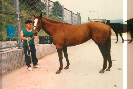 ����ǰ ����