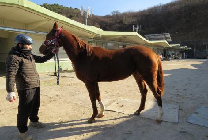 ������ǳ ����