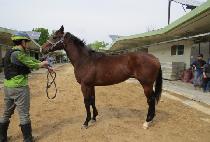 ���ø�Ʈ�ͺ� (COMPLETE TURBO) ����