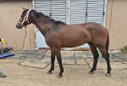 Ÿ�̰ž����� ����