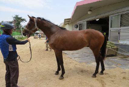 �ö���ġ�� ����