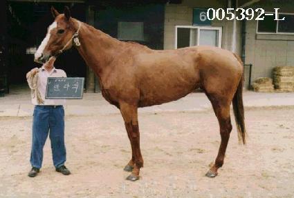 ��Ÿ�� ����