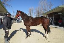 ���� (BYEOLBIT) ����